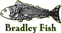 Bradley Fish Logo